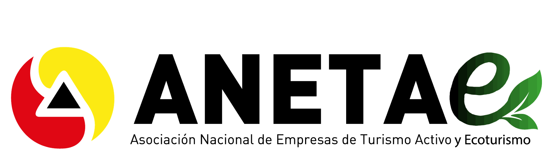 Logo ANETA